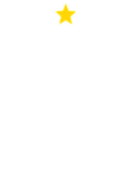 Academia de Futebol do Galo — Uberaba